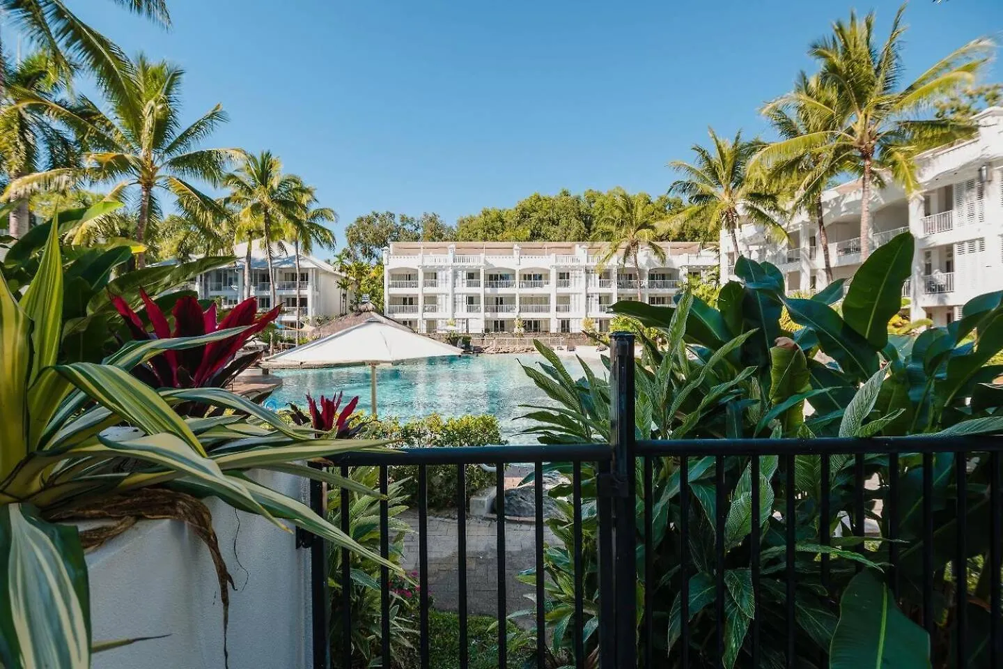 Bottlebrush: A Beachside Resort Paradise Palm Cove Australië